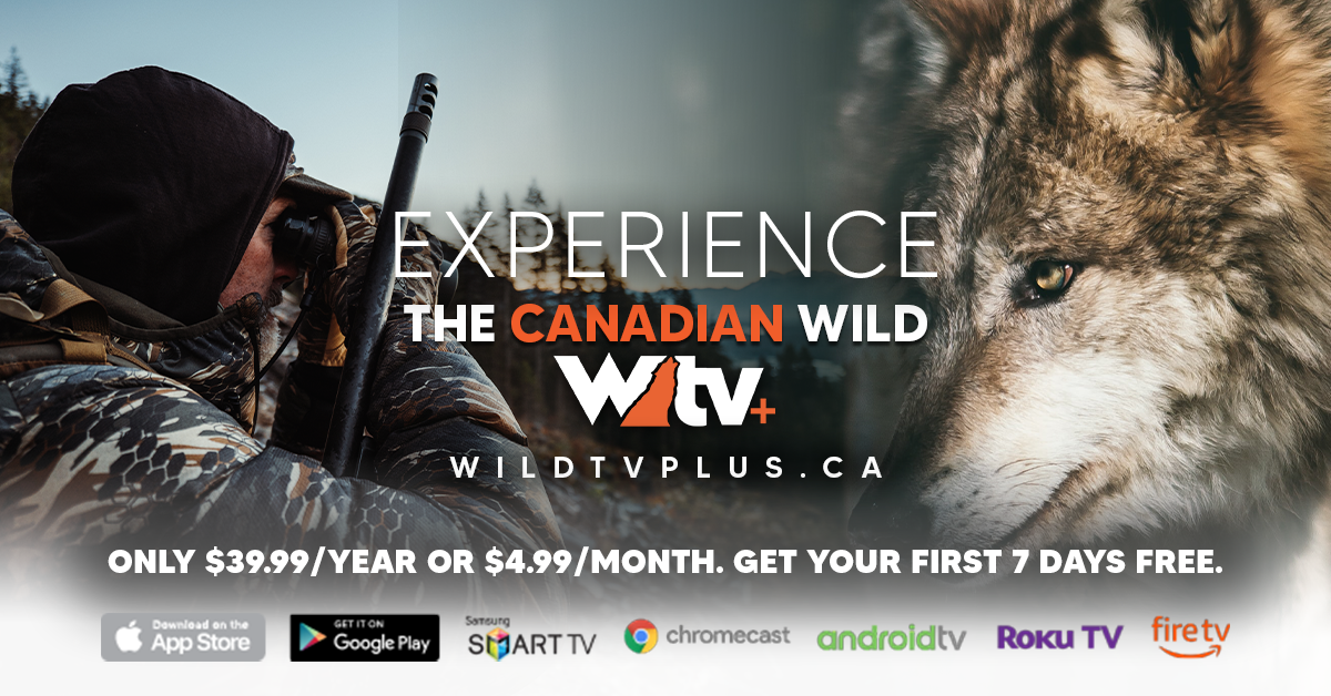 WTV+ Banner 2024 WTV+ Banner 2024